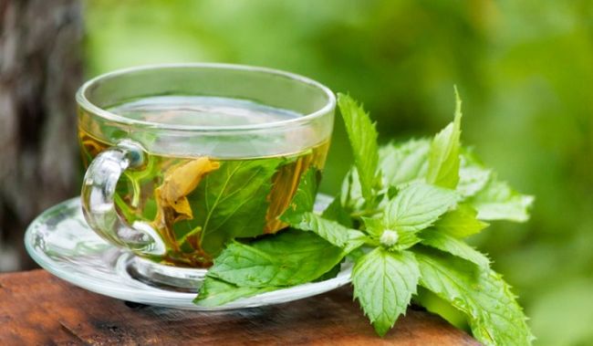 green-tea-3