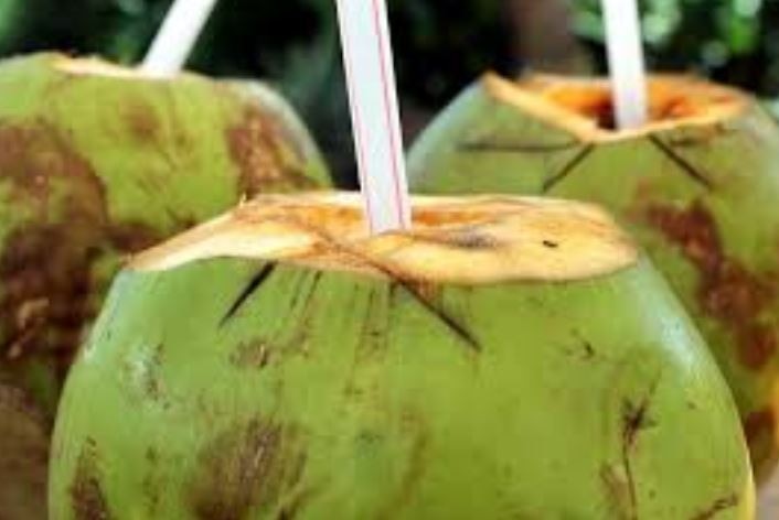 coconut: નાળિયેરના વધેલા છોતરાં (રેસા) ફેંકી ન દો—ઘરમાં આ 4 રીતે તેનો ઉપયોગ કરો