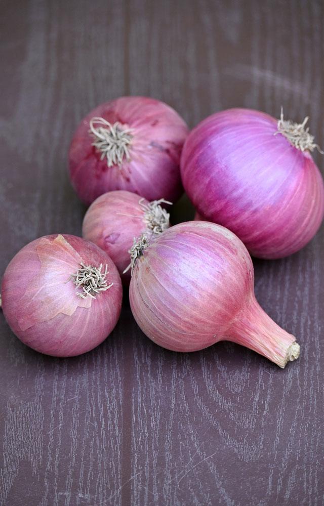 onion2