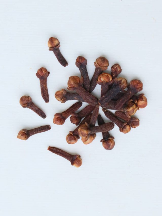 તણાવ મુક્તિ: લવિંગનું પાણી પીવાથી શરીરમાં ઓક્સિડેટીવ તણાવ ઓછો થાય છે