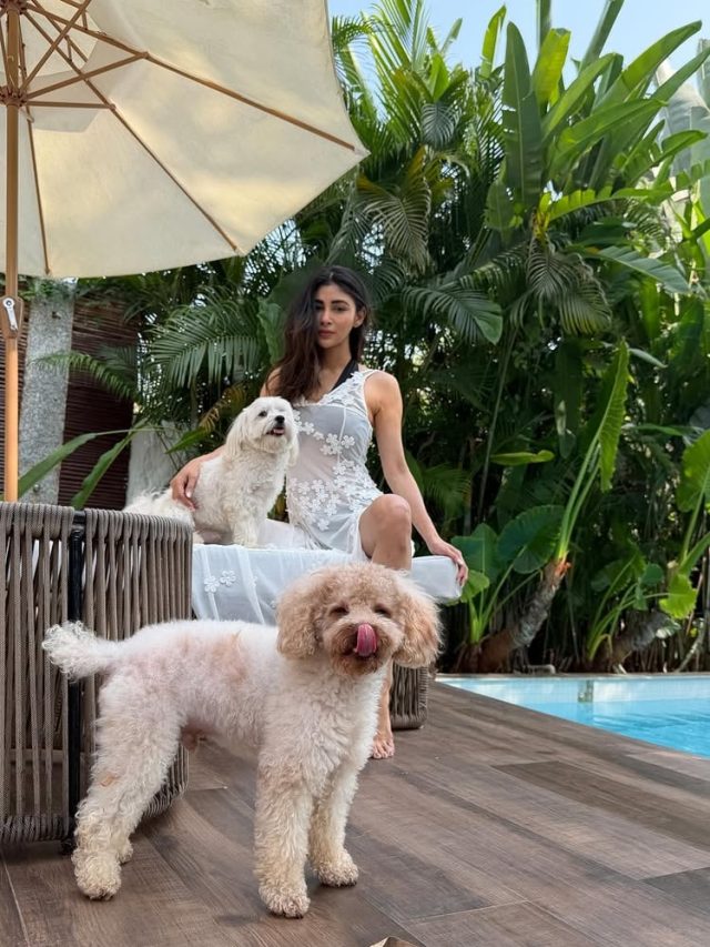 મૌની રોય ફરી એકવાર પોતાના બોલ્ડ અંદાજને કારણે ચર્ચામાં