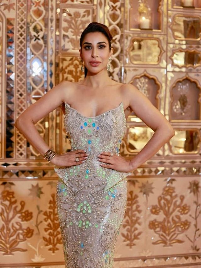 સૌફી ચૌધરીએ ઈન્સ્ટા પર શાનદાર ફોટોશૂટની તસવીરો શેર કરી