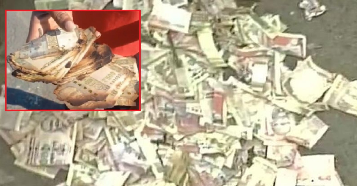 Surat: કચરાના ઢગલામાં મળી 500 રૂપિયાની બળી ગયેલી નોટો, પોલીસ તપાસમાં લાગી