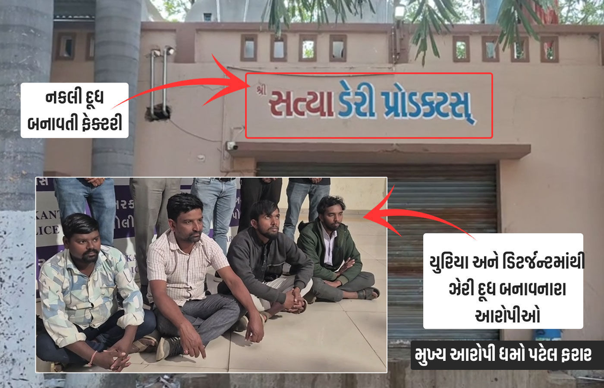 Sabarkantha: નકલી દૂધ કૌભાંડના માસ્ટરમાઇન્ડની ધરપકડ, કોર્ટે ‘સત્ય ડેરી’ના મેનેજરના 2 દિવસના રિમાન્ડ મંજૂર કર્યા