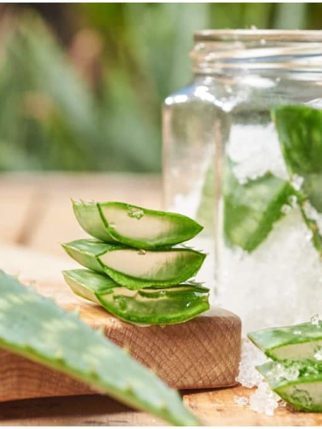 એલોવેરા જ્યુસ શરીરના આંતરિક ઝેરી તત્વોને બહાર કાઢી લોહીને શુદ્ધ કરવાનું કામ કરે છે.