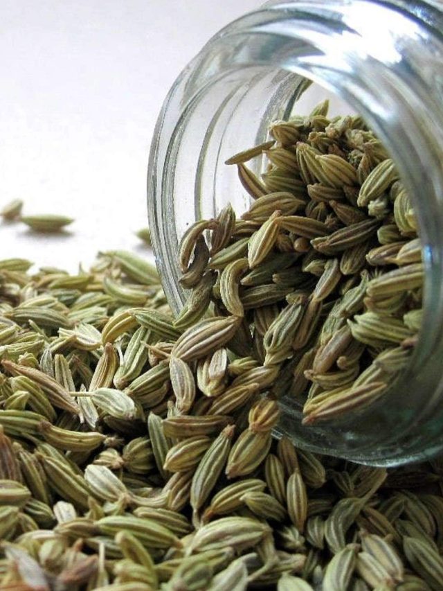 વરિયાળી રોગપ્રતિકારક શક્તિ વધારવામાં મદદ કરે છે