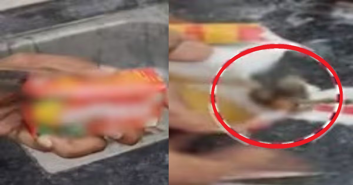 Vadodara: કોલ્ડડ્રીંકમાંથી દેડકા જેવું જીવ નીકળ્યું, બાળકને ICUમાં દાખલ કરી ડૉક્ટરની દેખરેખ હેઠળ કરવામાં આવી રહી છે સારવાર