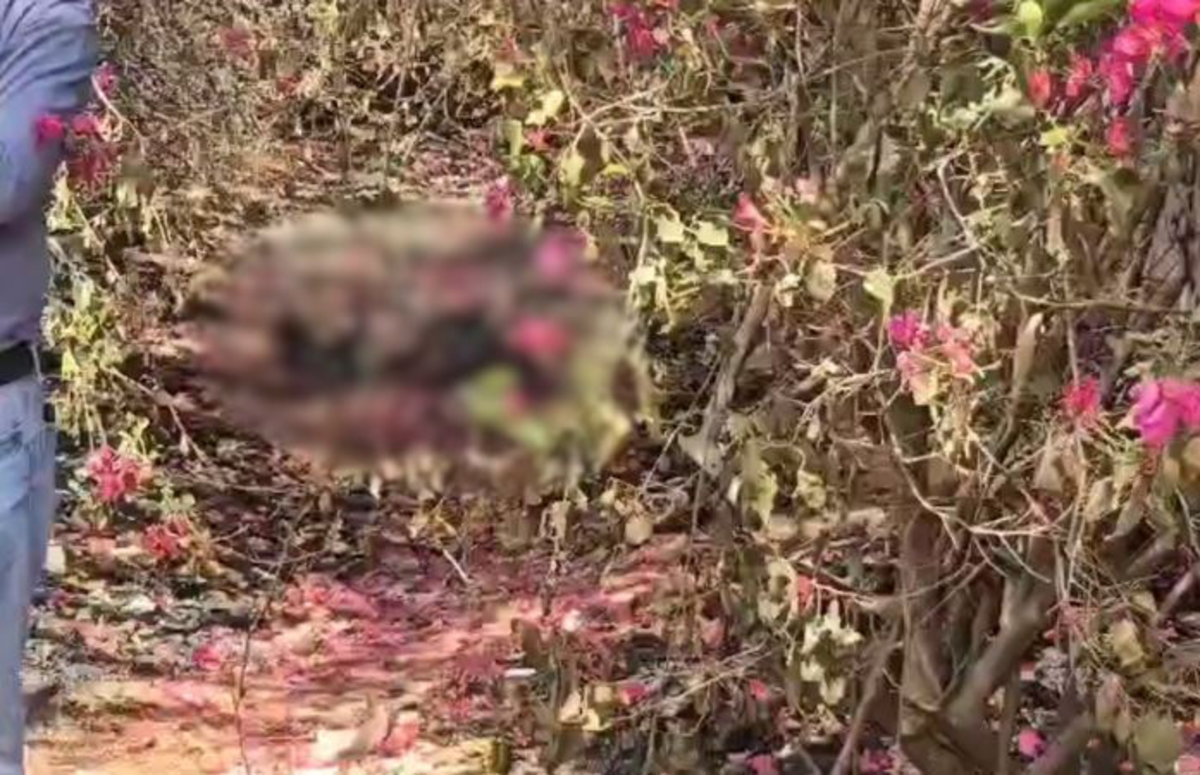 Ahmedabad: શહેરના નોબલનગર પાસે કચરાના ઢગલામાંથી મહિલાનો સળગેલો મૃતદેહ મળ્યો, પોલીસે તપાસ શરૂ કરી