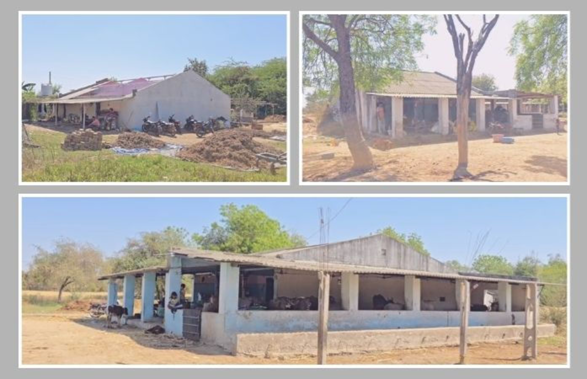 Panchmahal: કડાણા ડેમથી વિસ્થાપિત થયેલા લોકો માટે જમીન ખાલી કરાવવા વહીવટી કાર્યવાહી, બામરોલીમાં 50 વિરોધીઓને નોટિસ ફટકારવામાં આવી