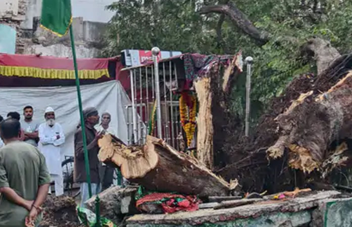 Rajkot: હિન્દુ-મુસ્લિમ આસ્થાના કેન્દ્ર ગોંડલમાં એક વિશાળ, સદીઓ જૂનું’પિરની આંબલી’ વૃક્ષ પડી ગયું, જેના કારણે વાહનવ્યવહાર ખોરવાઈ ગયો