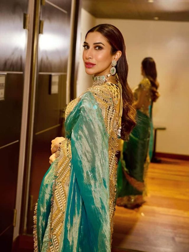 સૌફી ચૌધરીનો આ સિમ્પલ લૂક ફેન્સના દિલ જીતી રહ્યો છે