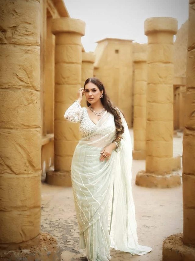 નેહાએ સાડી લુકમાં મહેફીલ લૂંટી છે