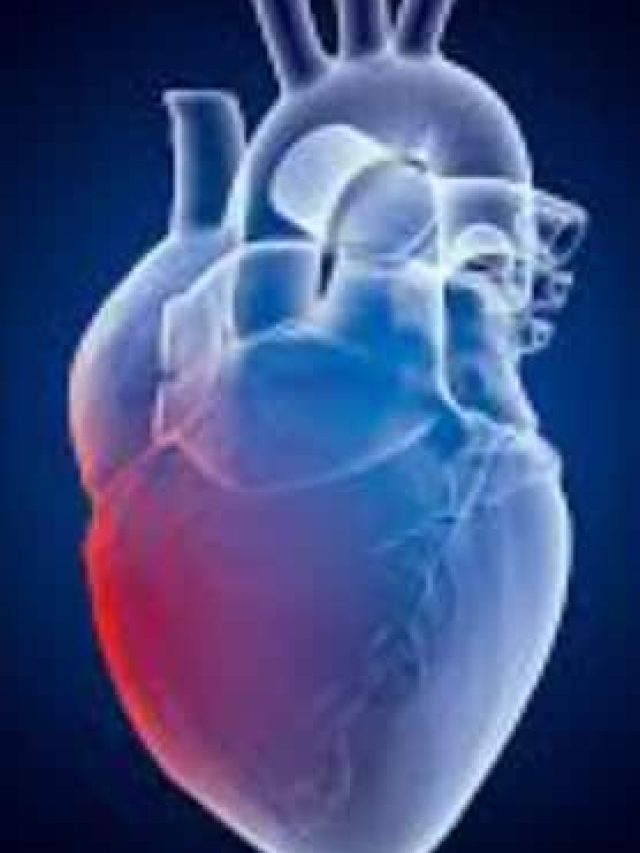 હાર્ટ માટે ફાસ્ટ ફૂડ નુકસાનકારક હોય છે