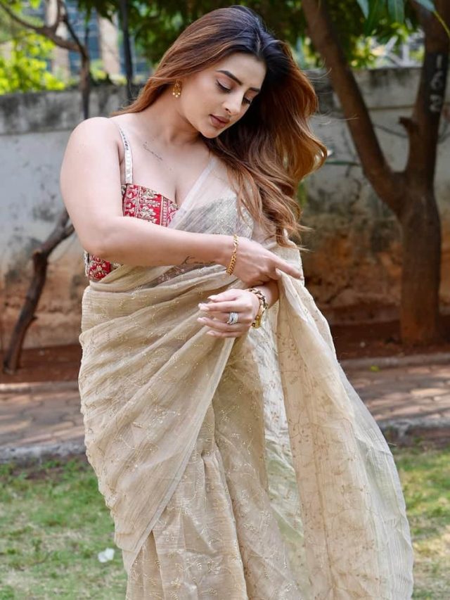 અંકિતા દવેએ પોતાની કારકિર્દીની શરૂઆત TikTok વીડિયોથી કરી હતી