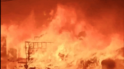 Gujarat: ગુજરાતના કંડલામાં SEZ માં એક કાપડ એકમમાં ભીષણ આગ લાગી; બચાવ કામગીરી ચાલુ 