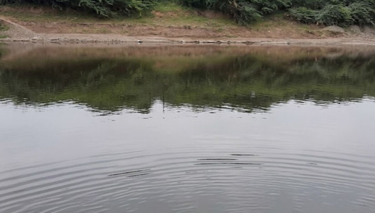 Vav-Tharad: તળાવમાં ત્રણ બાળકો ડૂબી ગયા, કાકાના ઘરે ફરવા ગયેલા ભત્રીજાઓના મોતથી શોક ફેલાયો.