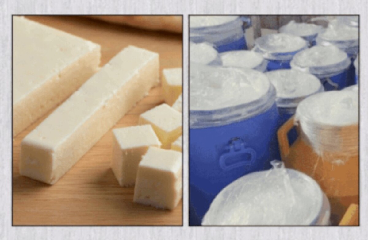 Ahmedabad: નકલી પનીર પીરસવા બદલ AMCએ 11 ખાણીપીણીની દુકાનોને નોટિસ ફટકારી