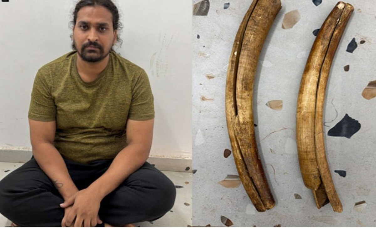 Gandhinagar: ચિલોડા હાઇવે પર પોલીસે રાજસ્થાની યુવાનને 1 લાખ રૂપિયાના હાથીદાંત સાથે પકડ્યો, મોટા પાયે દાણચોરીના નેટવર્કનો ભાગ હોવાની શંકા