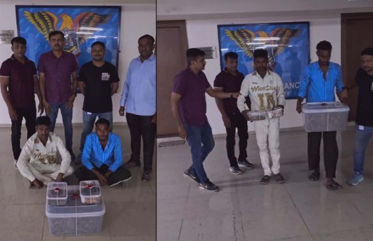 Ahmedabad: SOG એ બાપુનગરમાં દરોડો પાડ્યો, 4 લાખ રૂપિયાના ગાંજા સાથે બે ગુનેગારોની ધરપકડ કરી