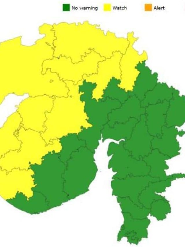 Gujarat Weather: વીજળીના કડાકા અને ભારે પવન