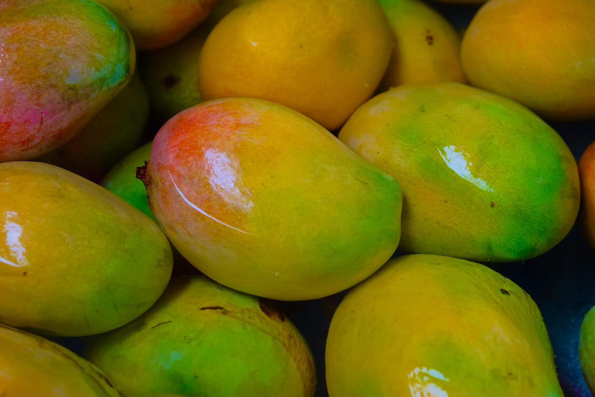 imageye___-_imgi_119_soaked-mangoes-3-2024-04-8711854c58dfd84c4382e22ce766b3b5-scaled