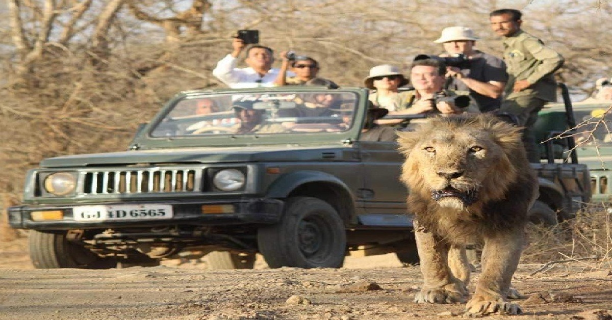 Gir Safari પ્રેમીઓ માટે ખુશખબર! સરકારનો મોટો નિર્ણય, 23 જૂનથી અભયારણ્ય બંધ નહીં રહે
