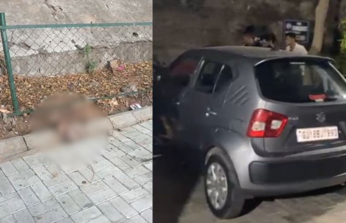 Ahmedabad: ખાનપુરમાં નવજાત બાળકનો મૃતદેહ મળતાં ચકચાર, પોલીસે તપાસ શરૂ કરી