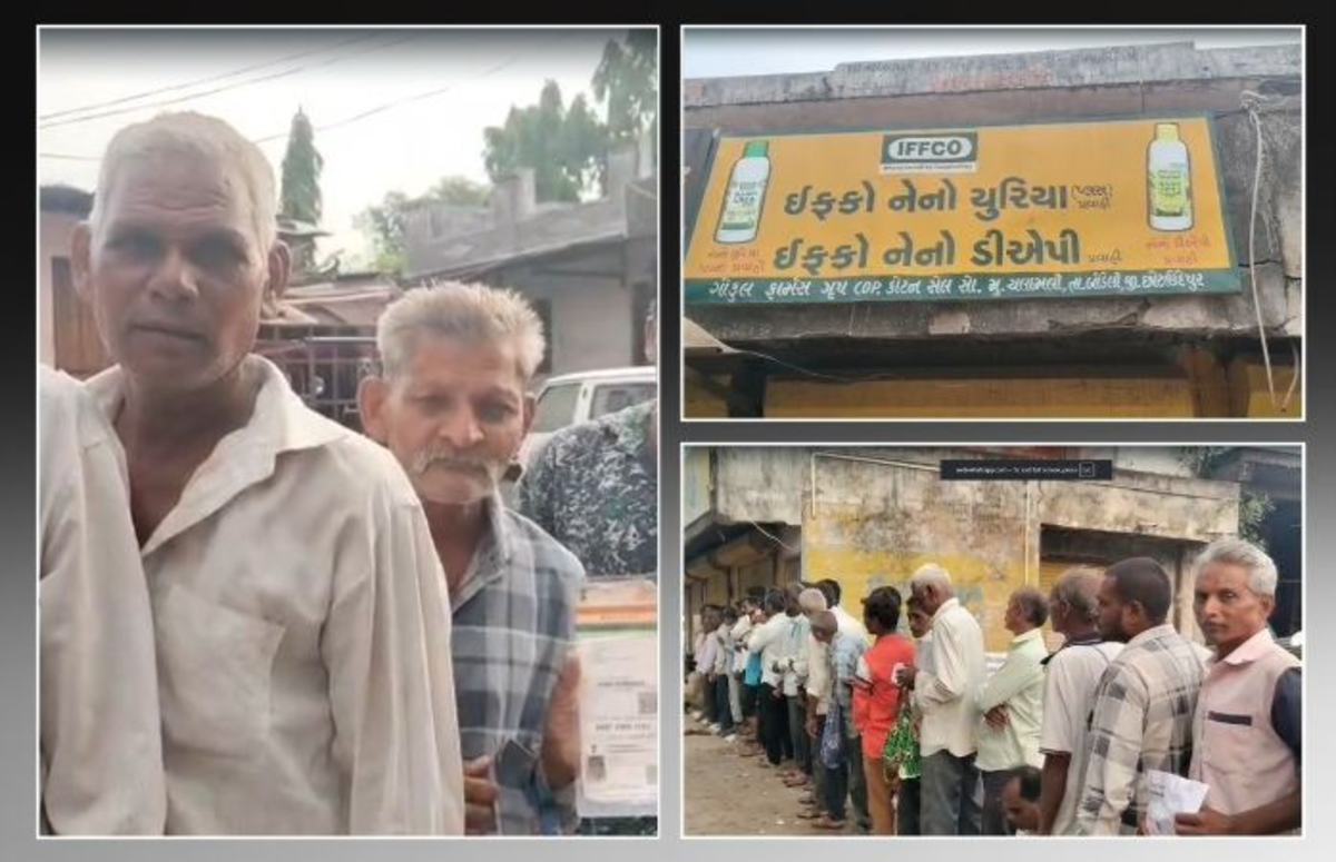 Chhota Udaipur: જિલ્લાના ખેડૂતોને સમયસર ખાતર ન મળવાને કારણે મુશ્કેલીઓનો સામનો કરવો પડી રહ્યો છે.