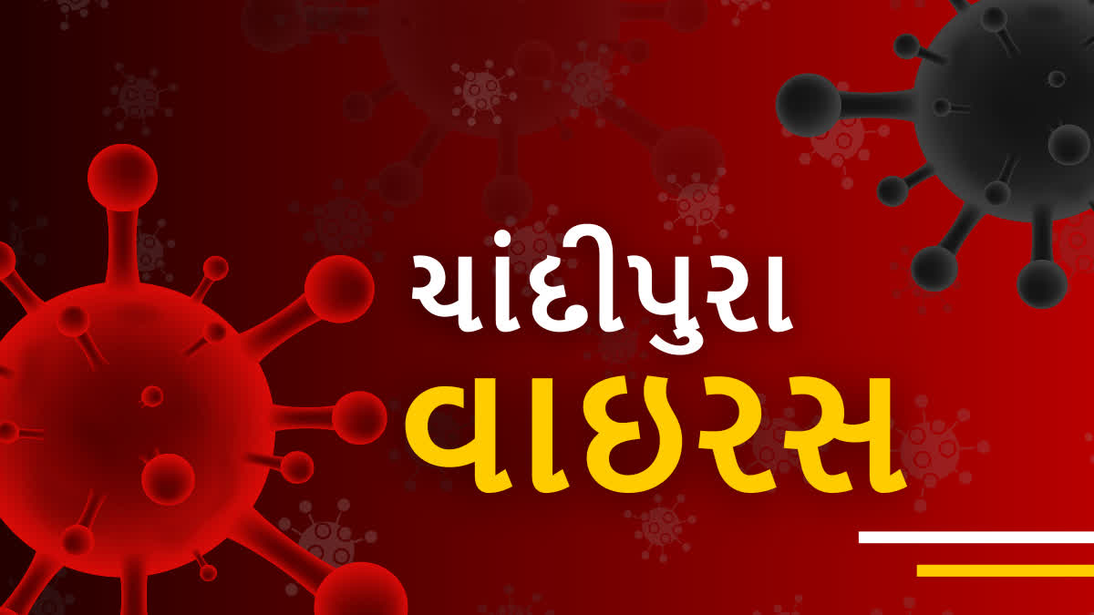 Surendranagar: ચાંદીપુરા વાયરસના બે શંકાસ્પદ કેસ, 7 મહિનાની બાળકીની હાલત ગંભીર, 24 ટીમો તૈનાત