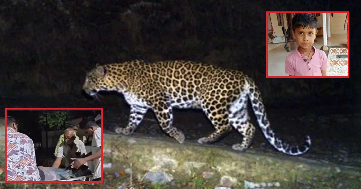 Bhavnagar Leopard Attack