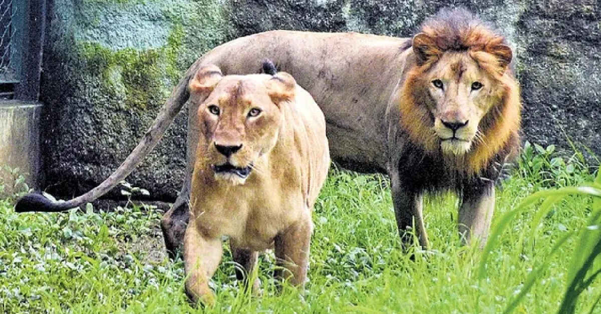 Gujarat