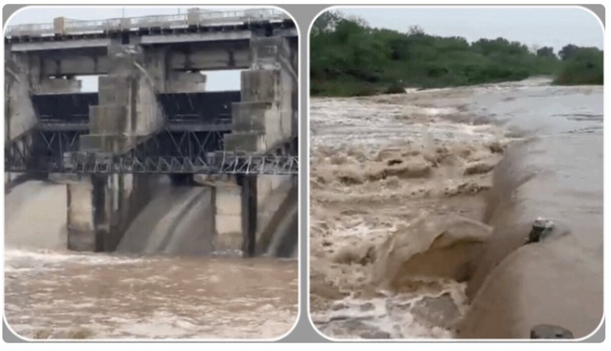 Gujarat: તાપીના વાલોડમાં બે કલાકમાં સૌથી વધુ 3.5 ઇંચ વરસાદ નોંધાયો, સુરત-નવસારીમાં શાળાઓ બંધ રહી.