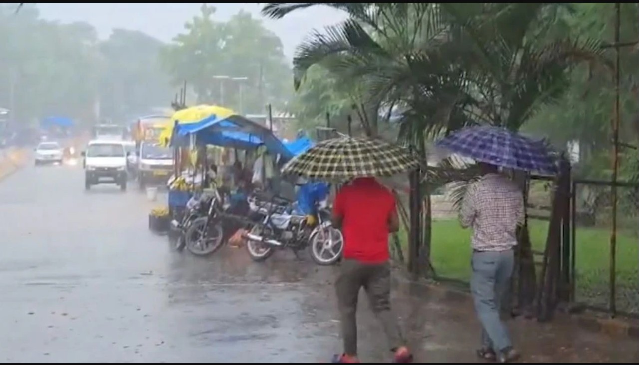 Gujarat rain update: કાળા વાદળો વચ્ચે વરસાદ, ઉત્તર, મધ્ય ગુજરાત અને સૌરાષ્ટ્રમાં એલર્ટ જાહેર