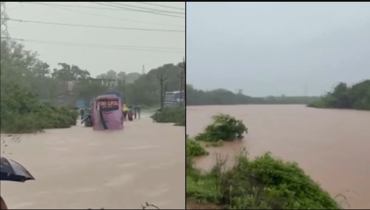 Weather Update: દક્ષિણ ગુજરાતના 4 જિલ્લામાં રેડ એલર્ટ, 78 તાલુકામાં વરસાદની સ્થિતિ, વલસાડમાં સૌથી વધુ વરસાદ