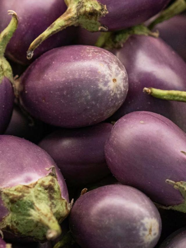 ચોમાસામાં રીંગણ ખાવું જોઈએ કે નહીં?