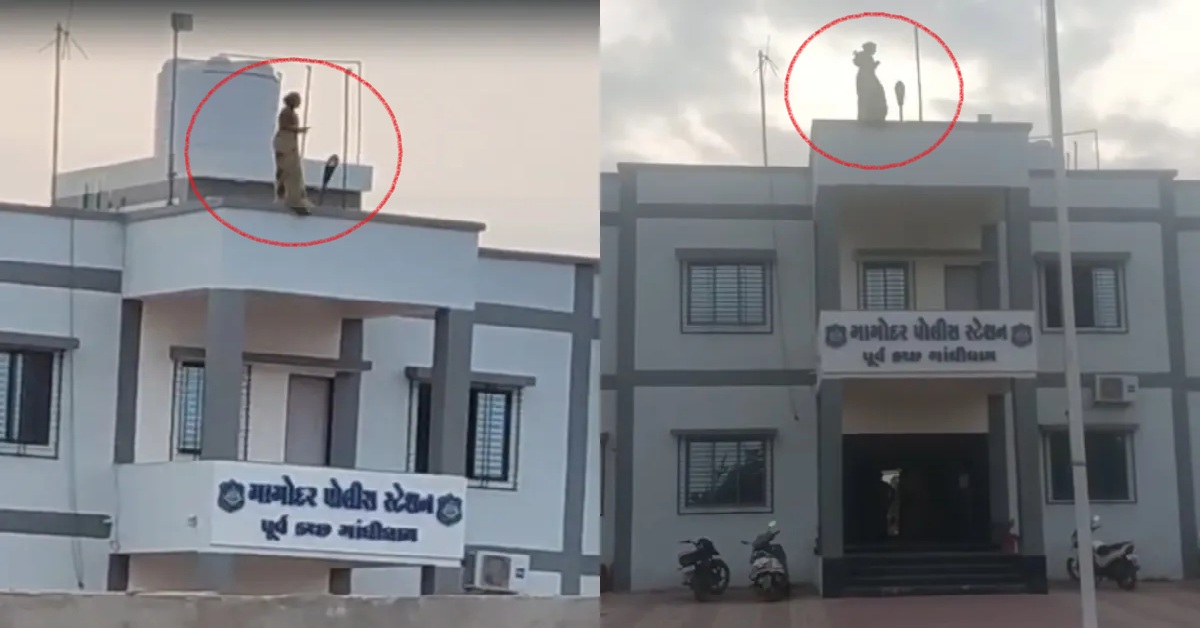 Kutch: પોલીસ સ્ટેશનમાં હાઈવોલ્ટેજ ડ્રામા, મહિલાએ છત પર ચઢી આપી આત્મહત્યાની ધમકી