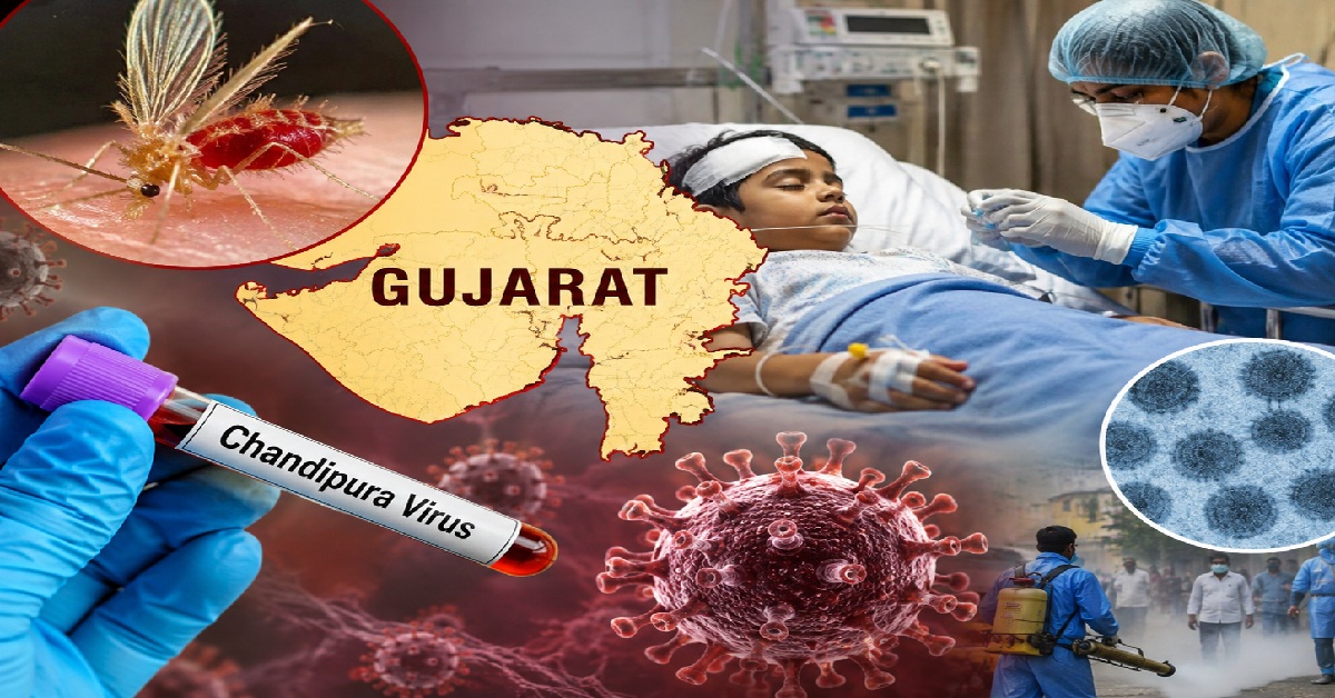 ગુજરાતમાં Chandipura virus સામે એલર્ટ, કેન્દ્રની ટીમો મેદાને; 22 બાળકોના મોત બાદ સર્વેલન્સ તેજ