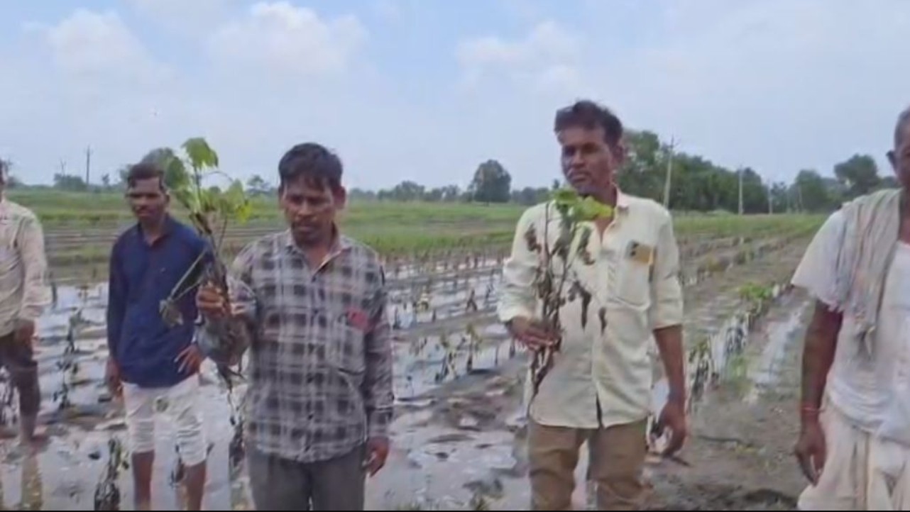 Chhota Udepur: નસવાડીના ધોડીસીમેલમાં 7,000 હેક્ટર જમીન ડૂબી ગઈ, ખેડૂતો ગુસ્સે, વહીવટીતંત્ર પર ભ્રષ્ટાચારનો આરોપ
