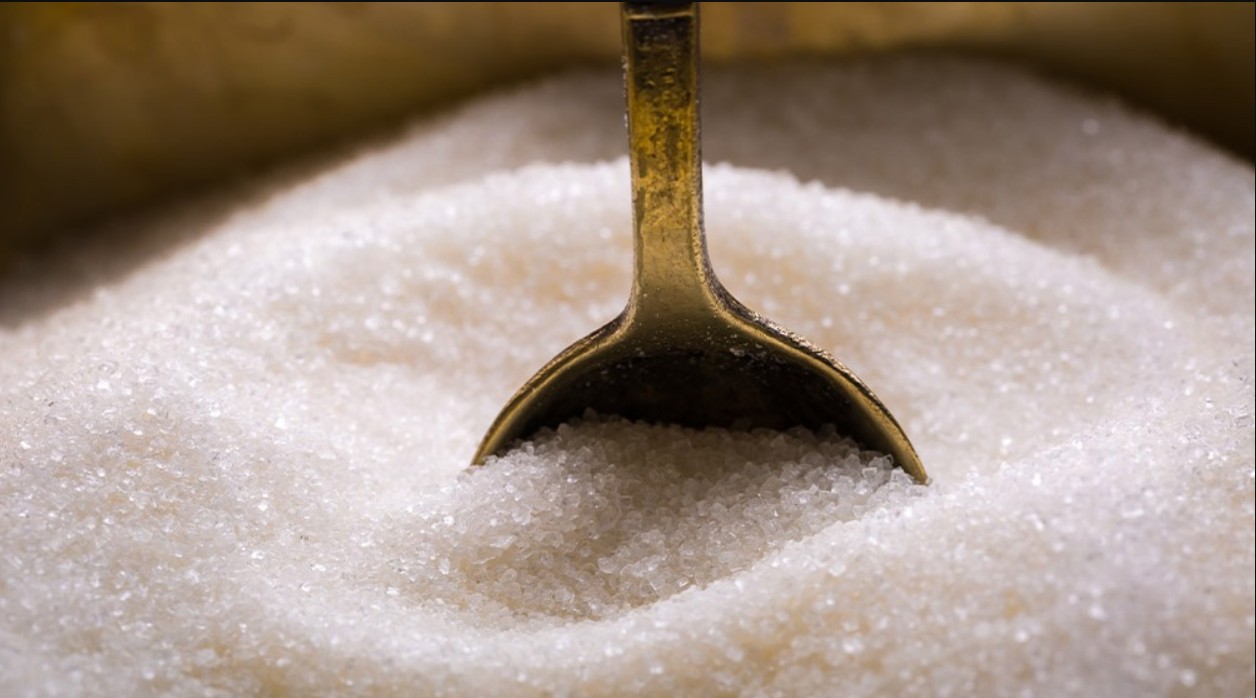 Sugar price: તહેવારોની સિઝનમાં ખાંડના ભાવ વધવાના કારણે સરકારે એક નવો નિયમ લાગુ કર્યો