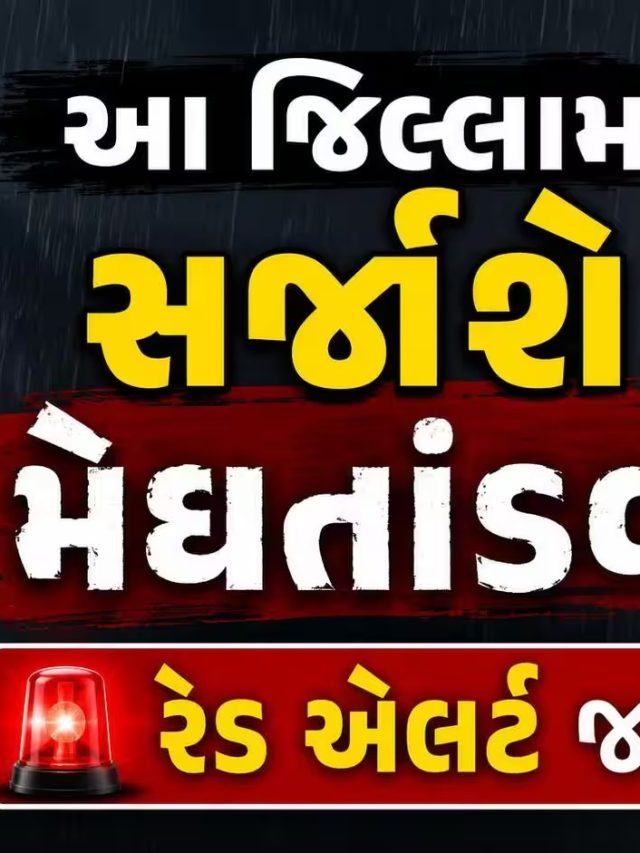 ગુજરાતમાં આજે વરસાદનું એલર્ટ, આ જિલ્લાઓમાં આગાહી