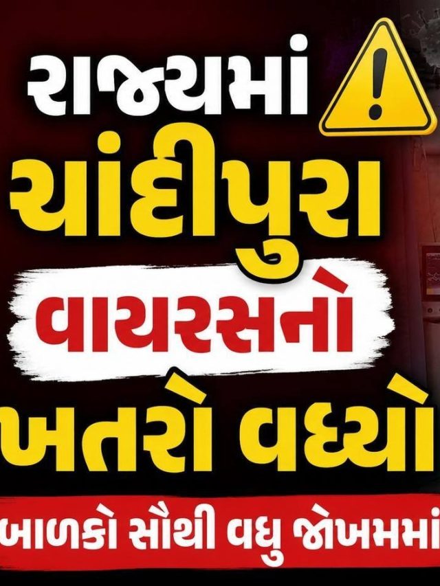 ગુજરાતમાં ચાંદીપુરા વાયરસનો કહેર, વધુ એક મોત