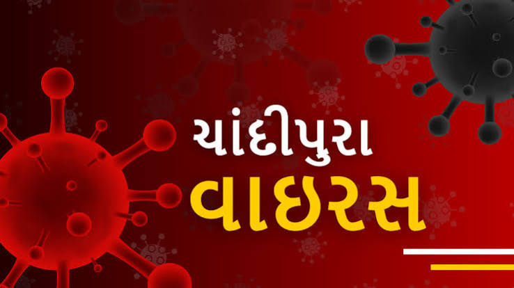Gujarat: ગુજરાતમાં ચાંદીપુરા વાયરસે હાહાકાર મચાવ્યો: આરોગ્ય મંત્રી પ્રફુલ્લ પંચેરિયા સાથે એક્સક્લુઝિવ ઇન્ટરવ્યૂ