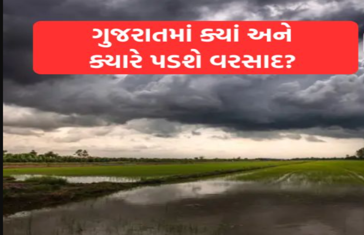 Weather update: સૌરાષ્ટ્રમાં વરસાદી માહોલ ફરી શરૂ, દ્વારકા, જામનગર, પોરબંદર, જૂનાગઢ અને રાજકોટમાં ગાજવીજ અને વીજળી સાથે વરસાદની આગાહી
