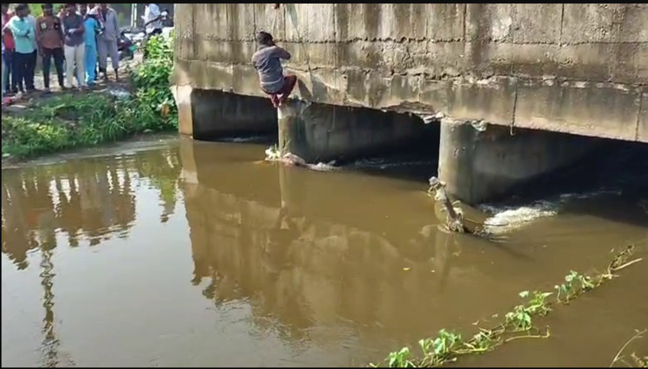 Ahmedabad: બાવળા નજીક ફતેહવાડી નહેરમાંથી 8 વર્ષની બાળકીનો મૃતદેહ મળ્યો, પોલીસે હત્યા કે અકસ્માત તે જાણવા તપાસ શરૂ