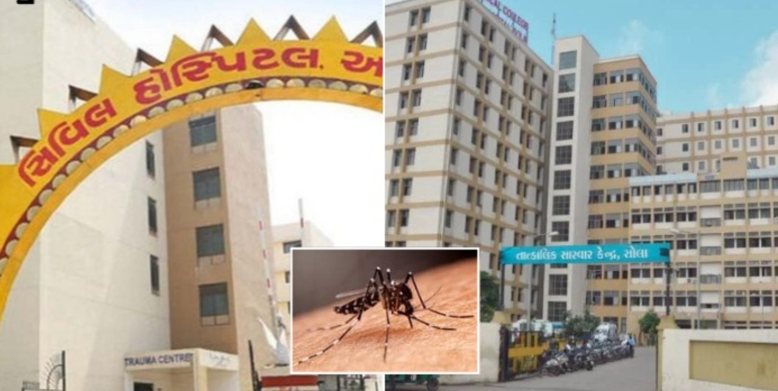 Ahmedabad: મચ્છરજન્ય રોગચાળો ફેલાયો, સિવિલ અને સોલા સિવિલ હોસ્પિટલો દર્દીઓથી ઉભરાઈ ગઈ, ડેન્ગ્યુના કેસોમાં વધારો