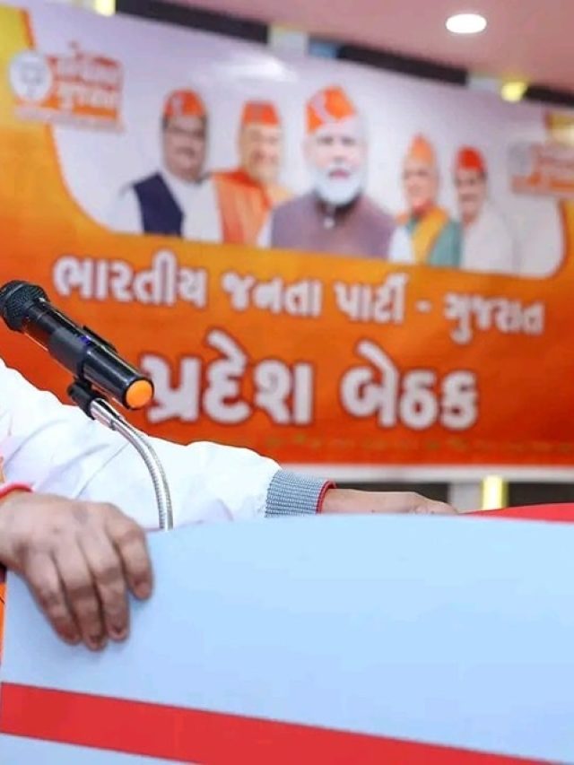 ભાજપે ગુજરાતના નેતાઓને સોંપી મોટી જવાબદારી