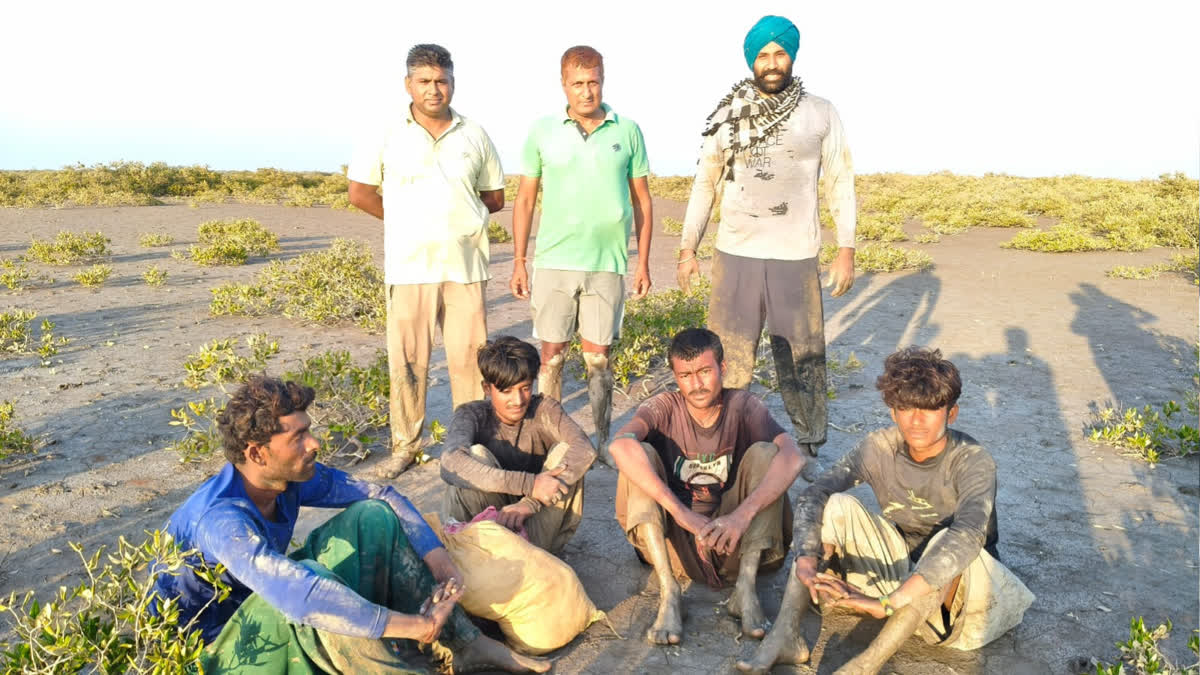 kutch: કચ્છના સર ક્રીક વિસ્તારમાંથી 4 પાકિસ્તાનીઓની ધરપકડ, BSF દ્વારા મોટી કાર્યવાહી
