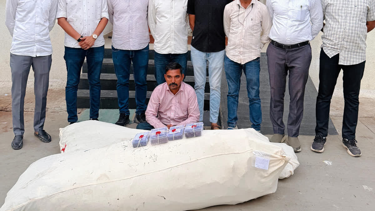 Bhavnagar: ઘરના આંગણા અને વાડમાંથી 29.91 લાખ રૂપિયાનો ગાંજો જપ્ત, ઘરમાલિકની ધરપકડ