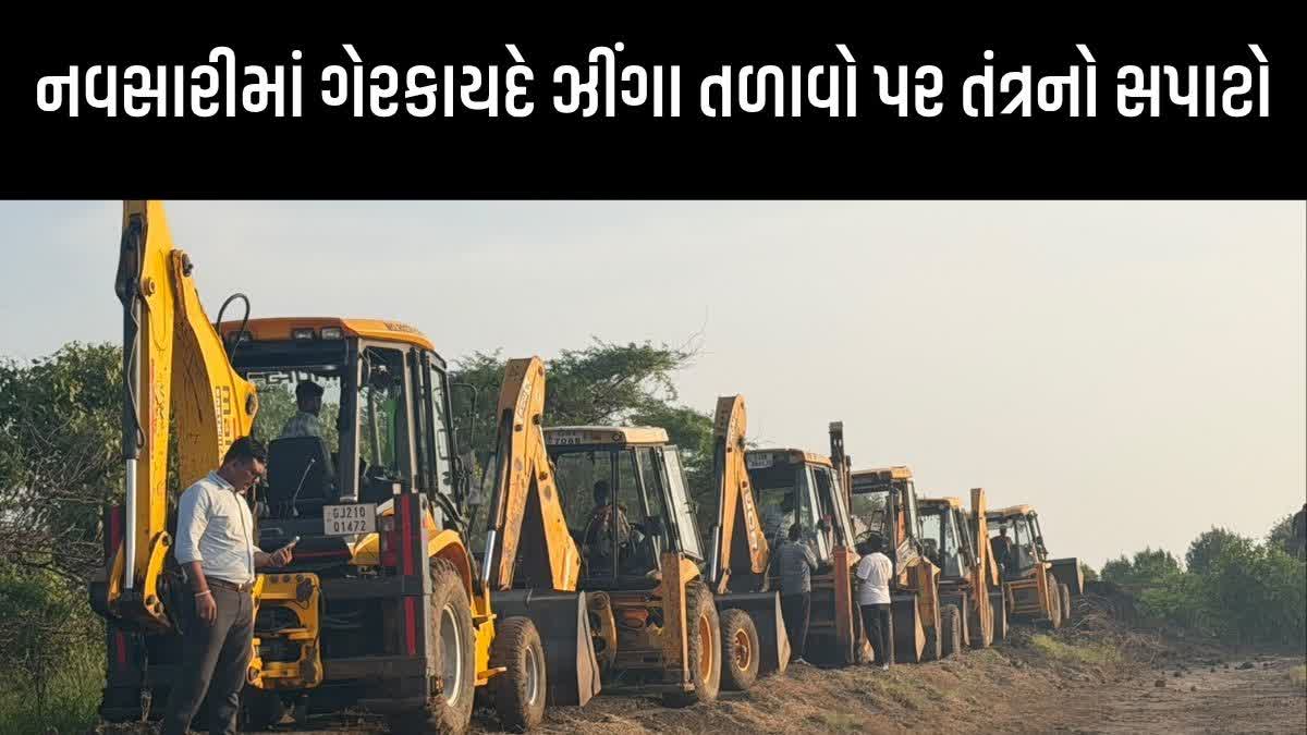 Navsari: નવસારીમાં ગેરકાયદેસર ઝીંગા ઉછેર સુવિધાઓ પર સત્તાધારીઓની કડક કાર્યવાહી
