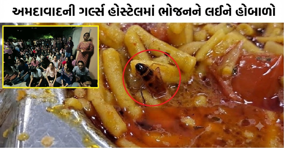Ahmedabad: ગર્લ્સ હોસ્ટેલના ભોજનમાં ફરી જીવાત, પ્લેટમાંથી વંદો મળતા વિદ્યાર્થીઓનો વિરોધ; NSUIએ કરી એજન્સી હટાવવાની માગ